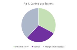 Pie Chart showing the percentages of types of oral lesions in Cainies, the pie chart reads, Inflammatory is at 33% Dental is at 29% Malignant neoplasis is at 38%.