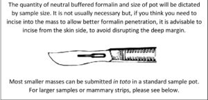 How to prepare and send mammary samples – a few tips