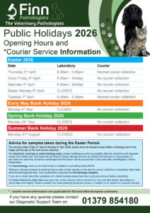 Bank Holiday Information