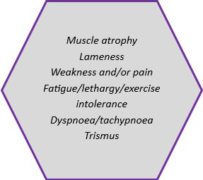Common reasons to pursue muscle biopsy