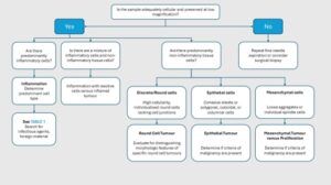 Figure 9. Schematic overview 